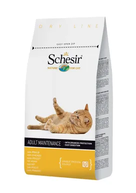 Cat food Schesir - reviews and description