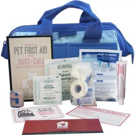 Cat first aid kit, Essential Items