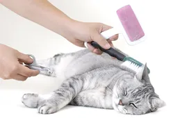 Cat hair care. Tips and tricks
